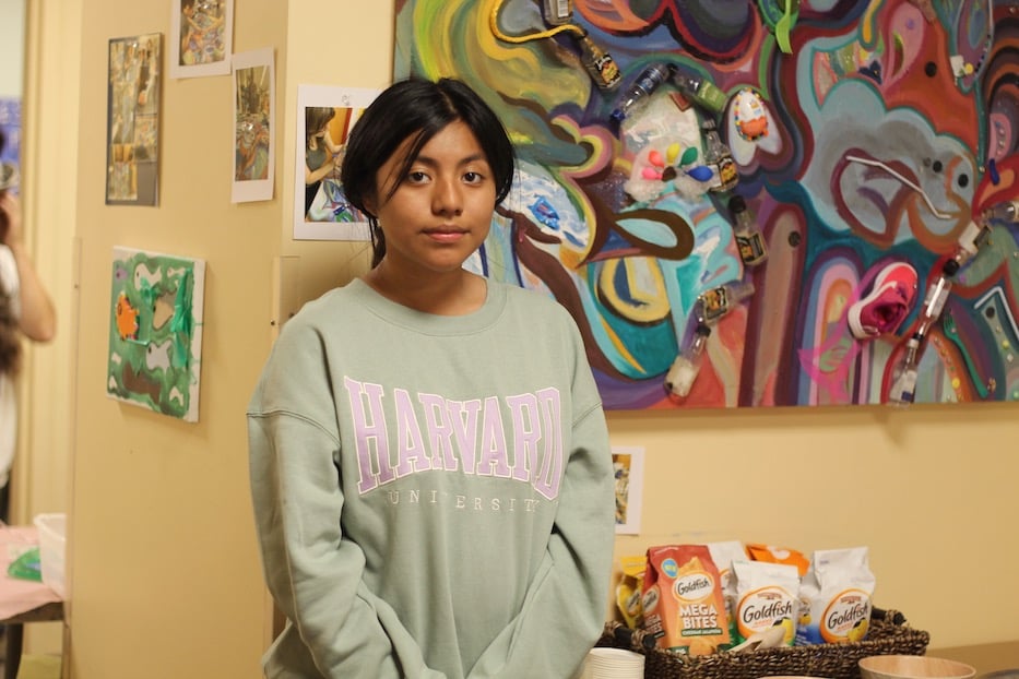 80129 Trash Pickup Christmas 2022 Plastic, Paint A Form Of Protest